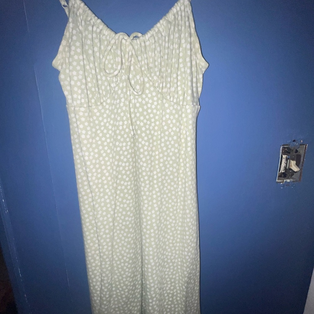 American Eagle Outfitters Light Green Floral Dress
